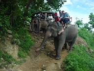 096 -  0708 - ballade a dos d'elephants 1.jpg